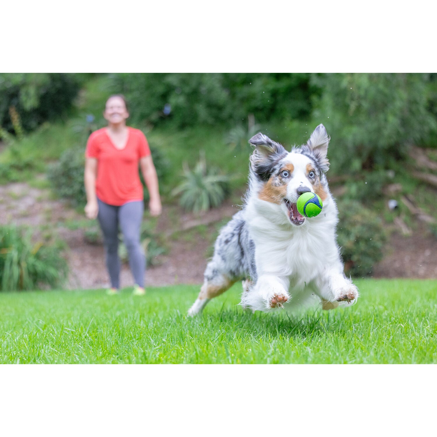 Chuckit! Sniff Peanut Butter Scented Fetch Ball Dog Toy, Medium