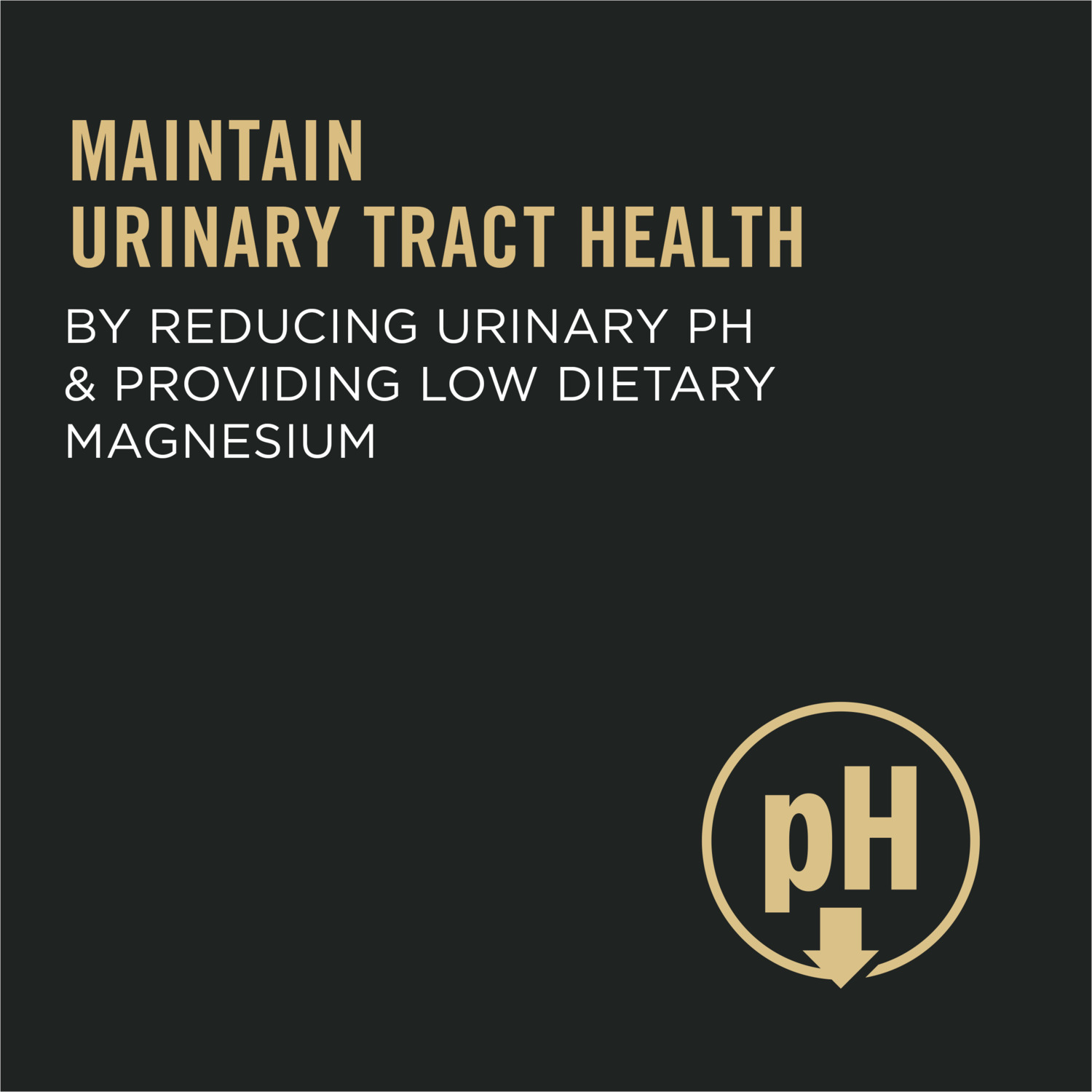 Purina Pro Plan Specialized Urinary Tract Health Formula Dry Cat Food, Chicken And Rice Formula, 7-Lb