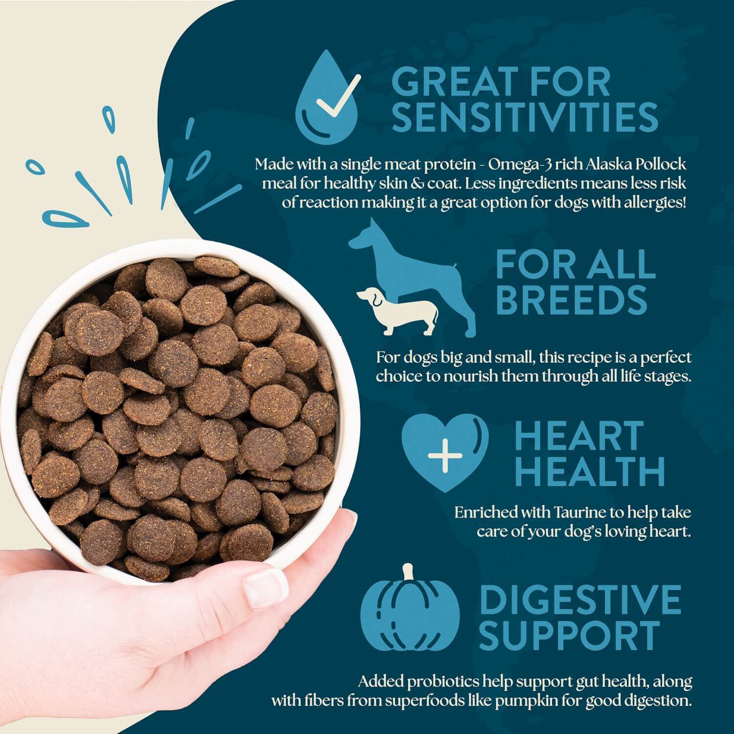 Earthborn Holistic Limited Ingredient Diet Venture Alaska Pollock Meal Pumpkin Grain Free Dry Dog Food 4 lb Bag