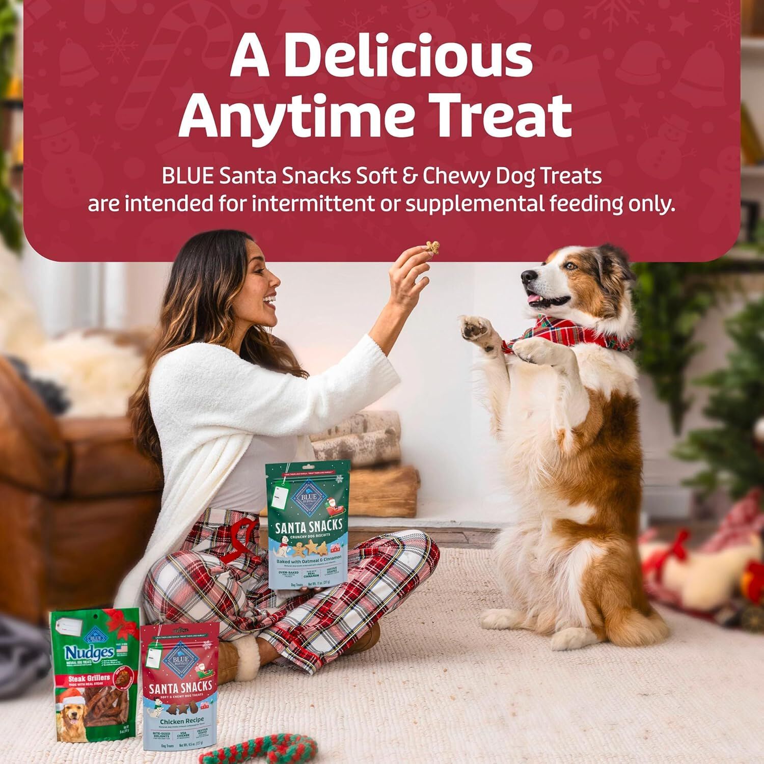 Blue Buffalo Santa Snacks Natural Soft Dog Treats, Chicken, 4.5-Oz Bag