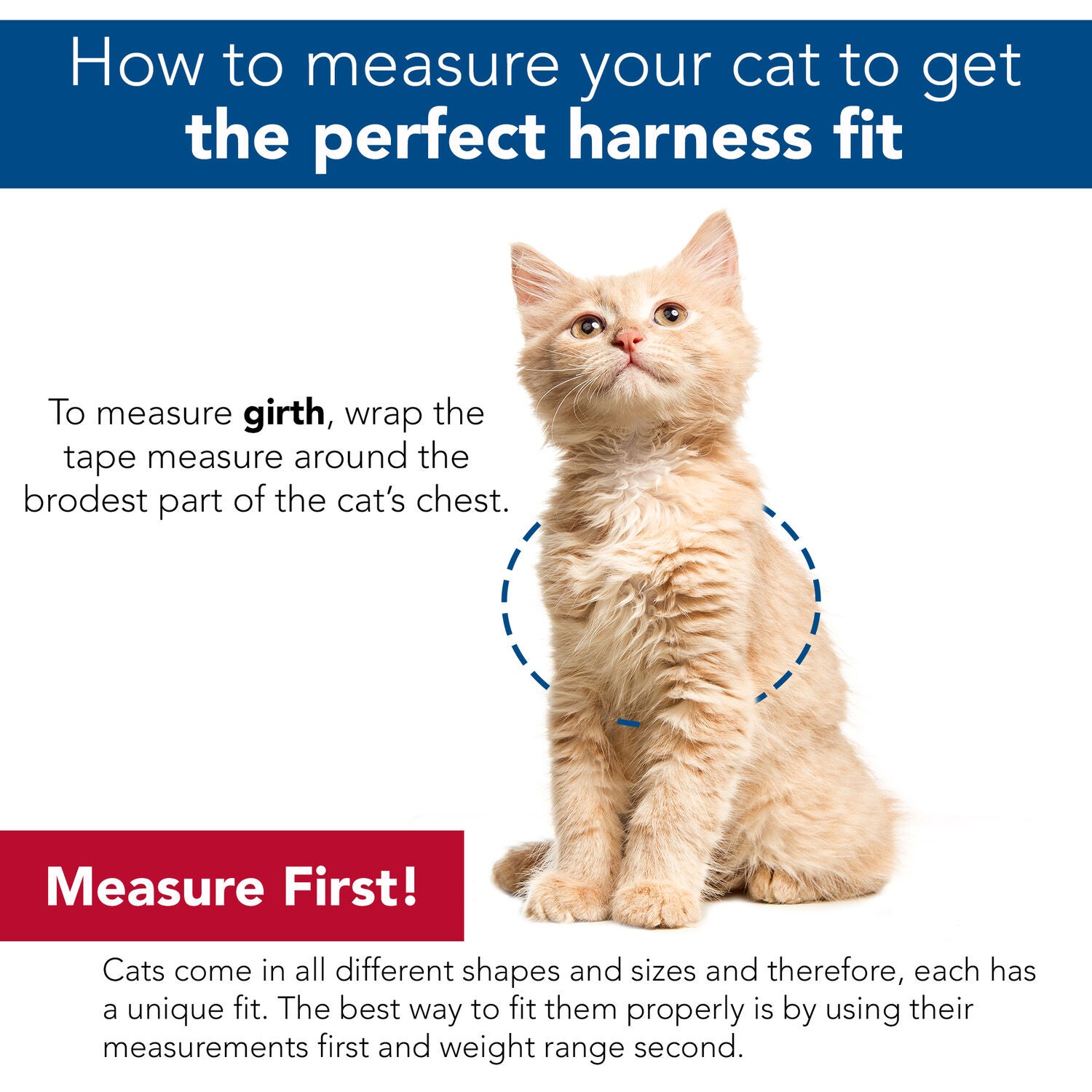 Coastal Figure "H" Fashion Adjustable Cat Harness And Leash Combo, Pink Dots, Small - 3/8" X 10"-18"