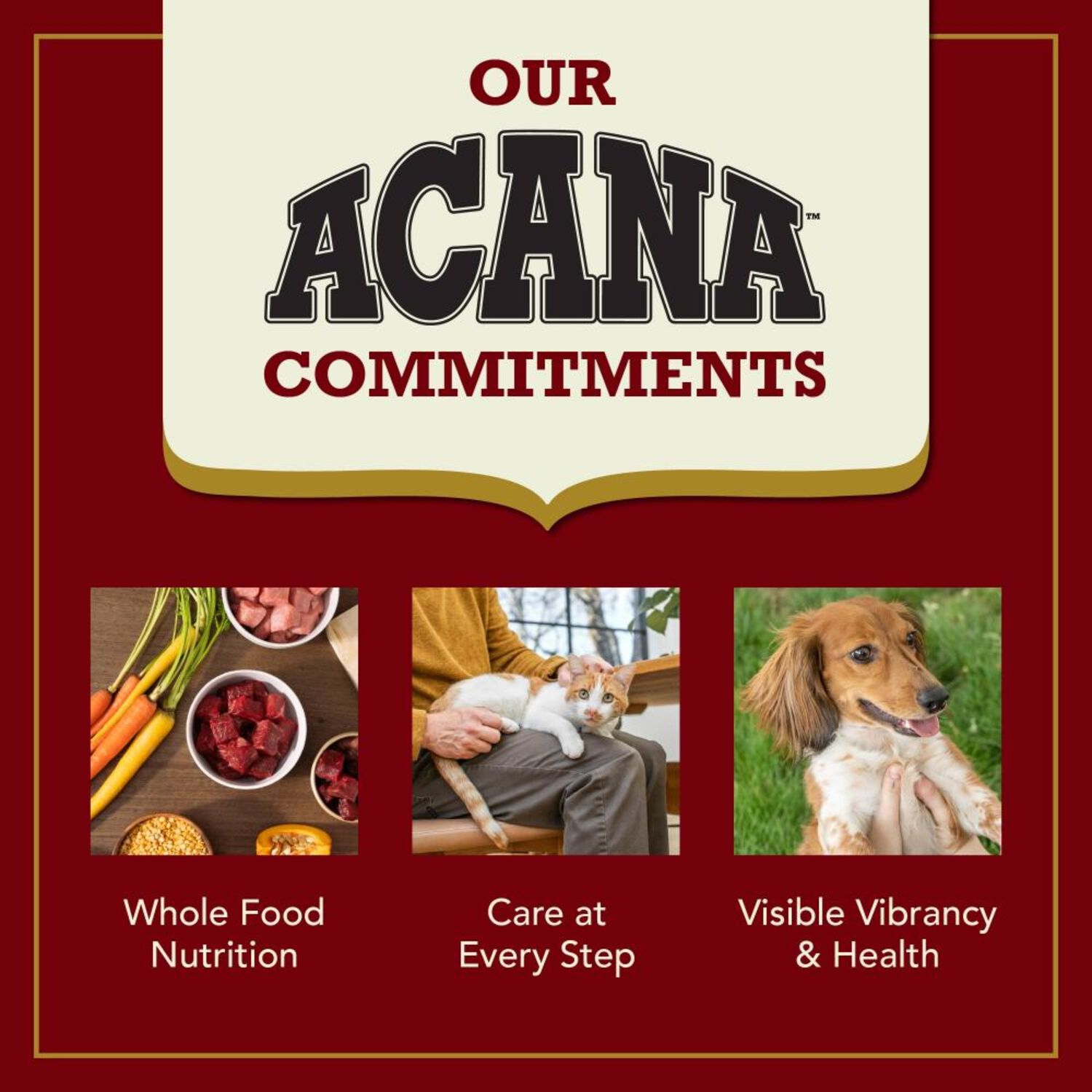 Acana Market Medley Indoor Cat Dry Cat Food, Chicken, Trout & Salmon Recipe, High-Protein Kibble + Freeze-Dried Morsels, 3.5-Lb Bag