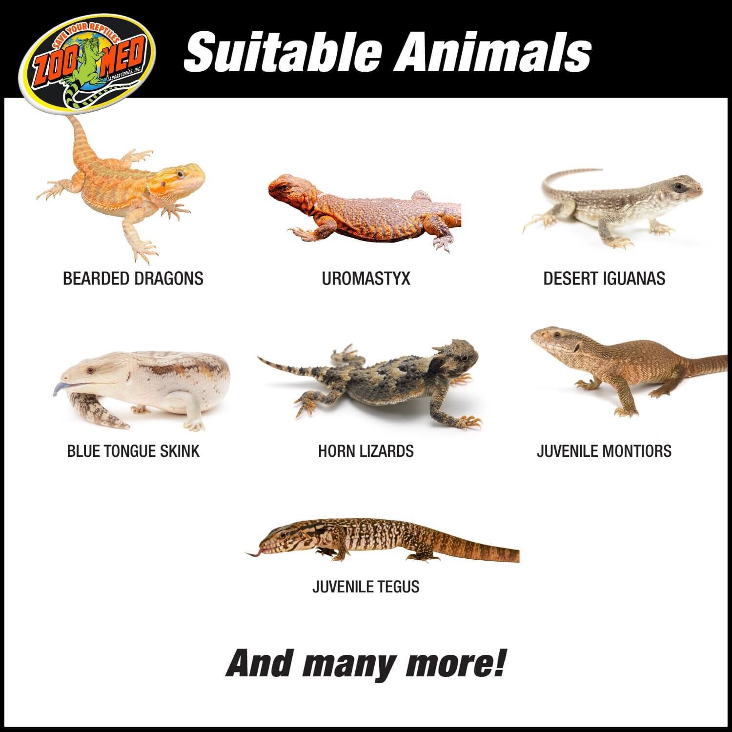 Zoo Med 40 G Bearded Dragon Kit 40gal Pet Supermarket