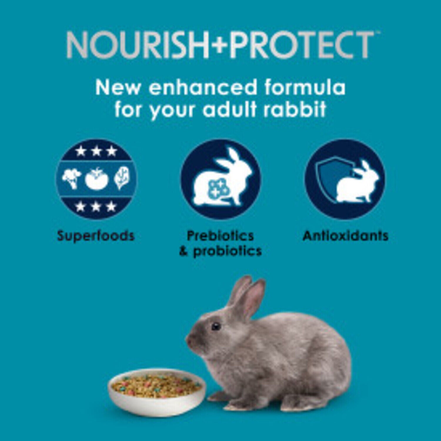Kaytee Forti-Diet Pro Health Nourish + Protect Adult Rabbit Food, 20-Lb