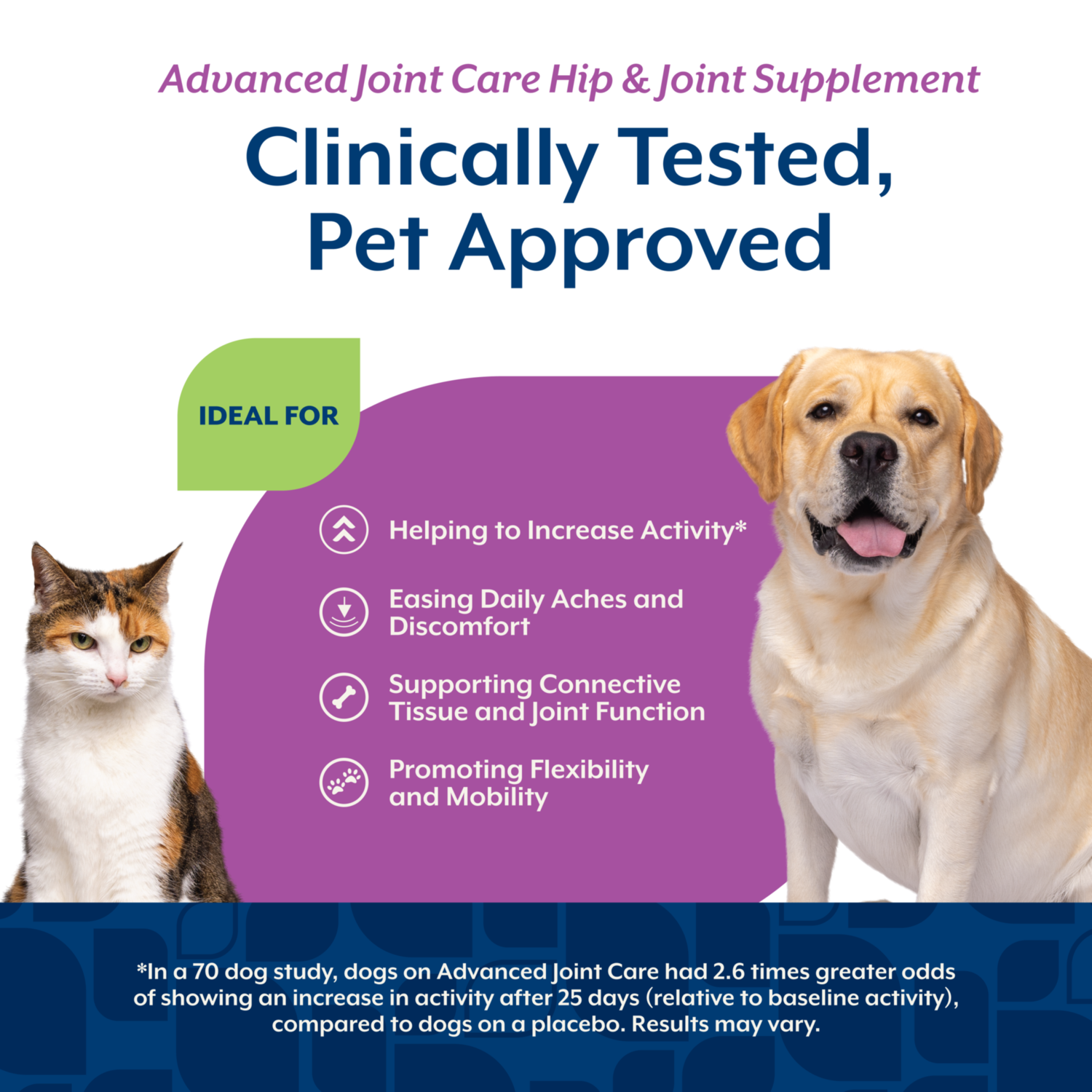 Naturvet Arthrisoothe-Gold Advanced Joint Care Soft Chew Dog & Cat Supplements