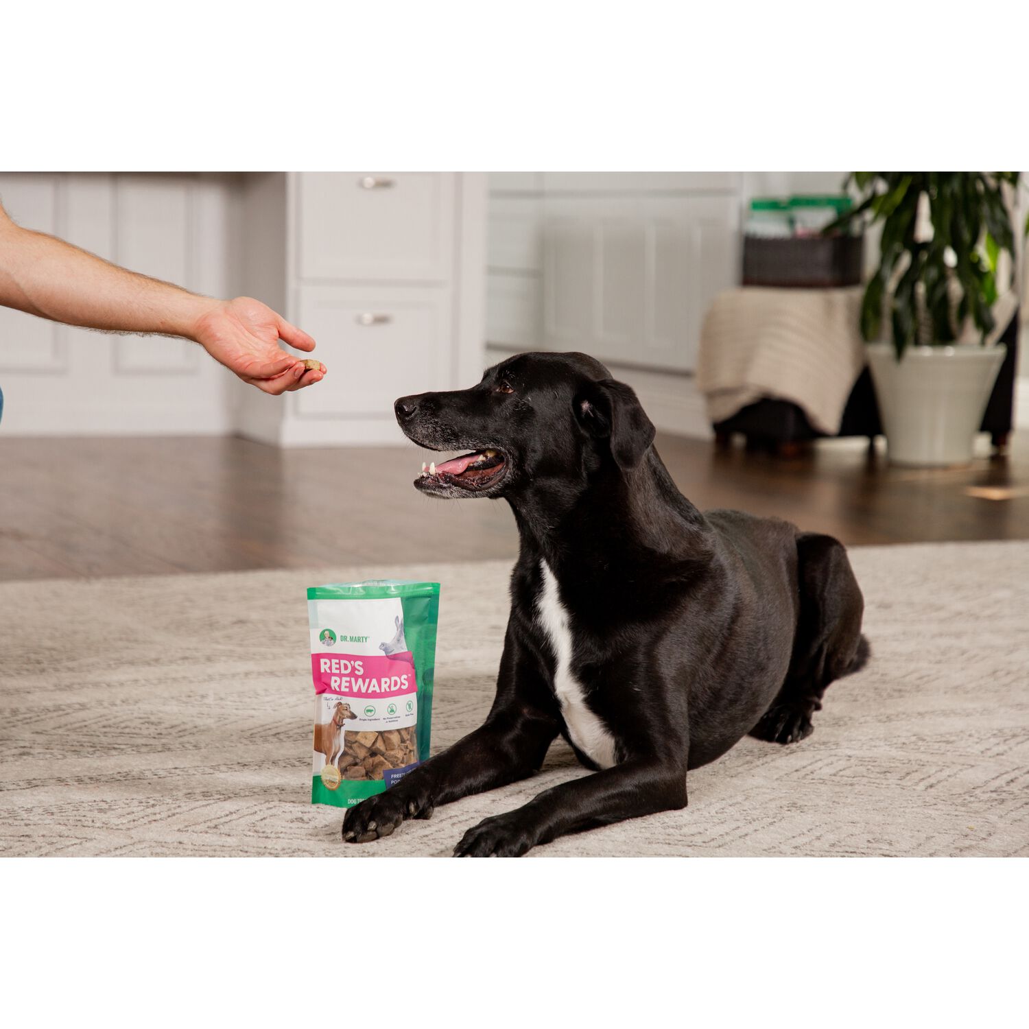 Dr. Marty Red's Rewards Freeze Dried Raw Pork Liver Dog Treats, 4-Oz Bag