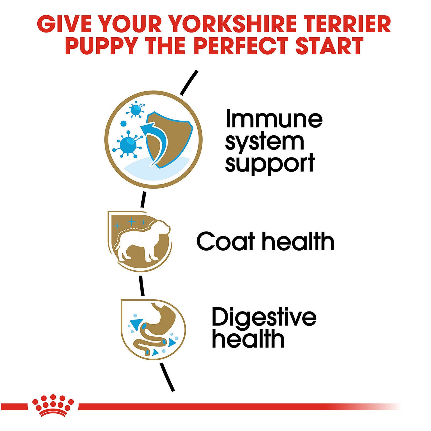 Royal Canin Yorkshire Terrier Puppy Dry Dog Food 2.5 lb