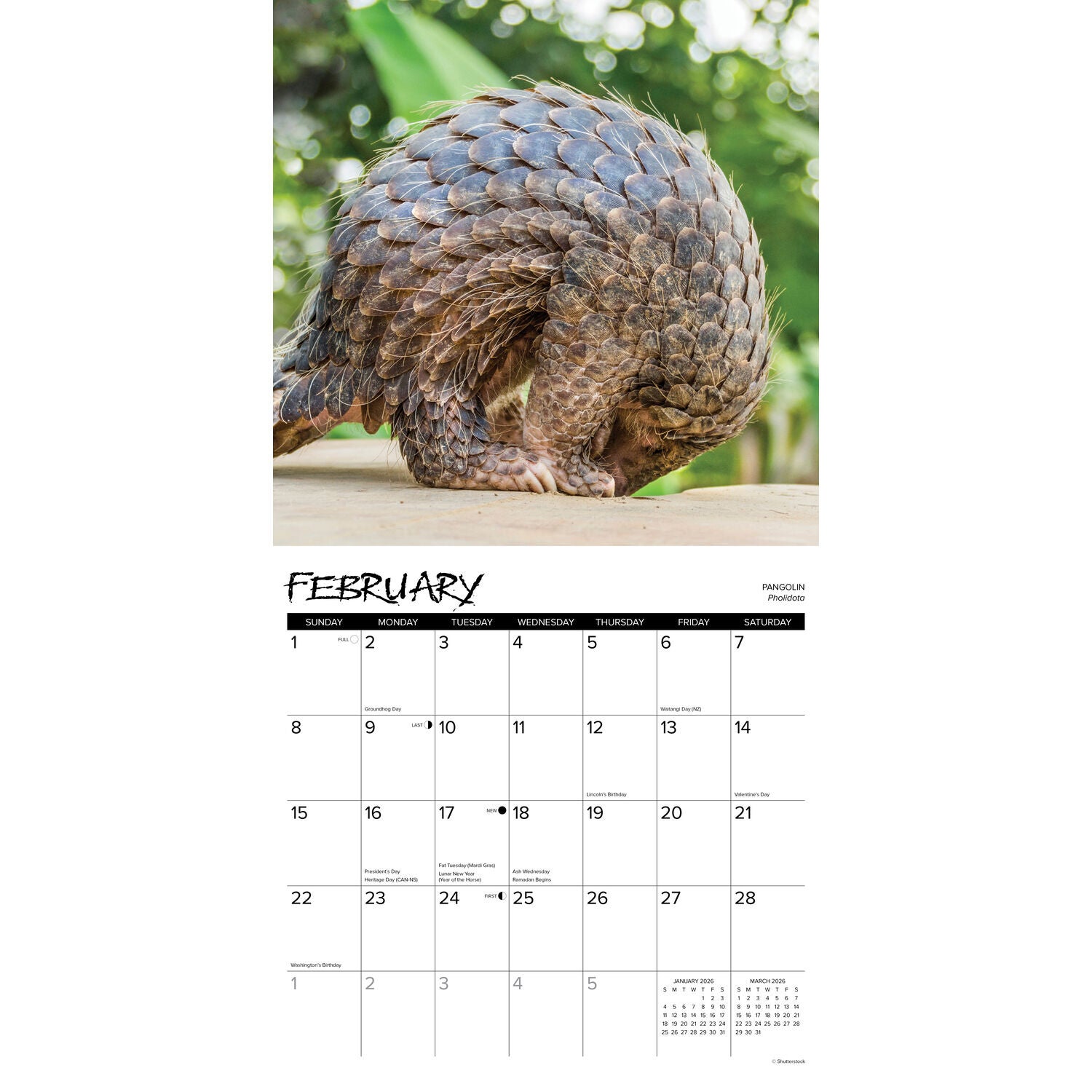 Willow Creek Press 2026 Exotic Animals Wall Calendar