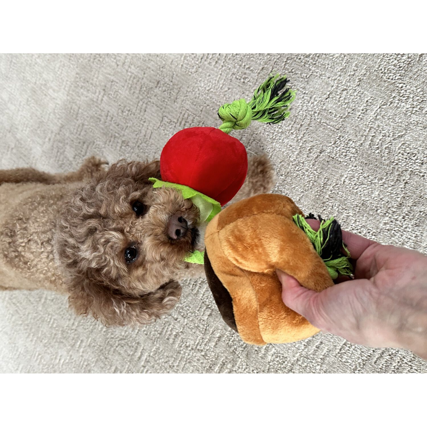 Territory Tomato Treat-And-Tug Dog Toy, 15"