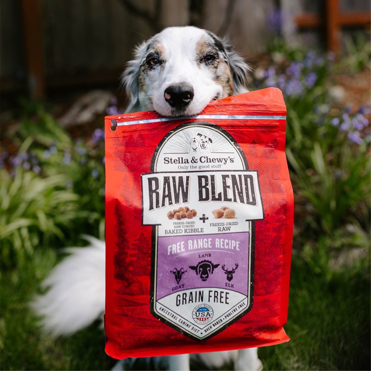 Stella & Chewy's Raw Blend Freeze Dried Raw Coated Baked Kibble Dry Dog Food Free-Range Recipe With Lamb, Goat, & Elk, 3.5-Lb Bag