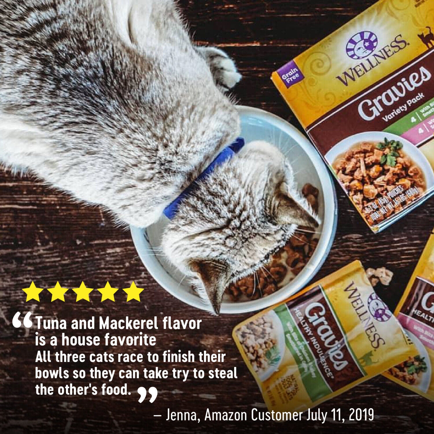 Wellness Healthy Indulgence Gravy Adult Wet Cat Food, Natural, Protein-Rich, Grain-Free Tuna Mackerel Recipe, 3-Oz Pouch