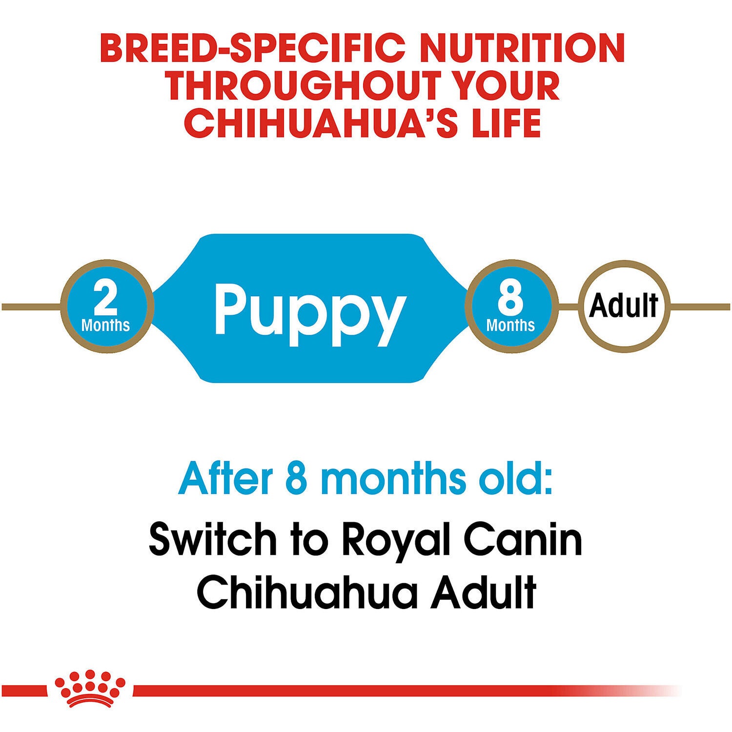 Royal canin chihuahua puppy food cheap