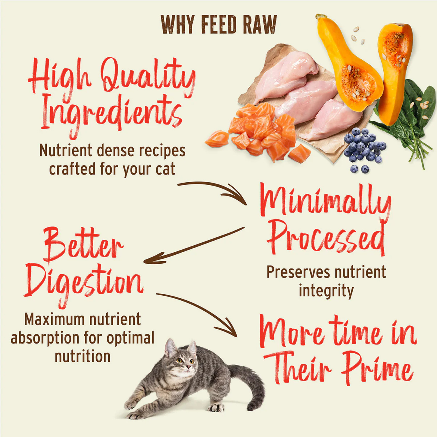 Primal Freeze Dried Raw Nuggets Cat Food, Rabbit Formula