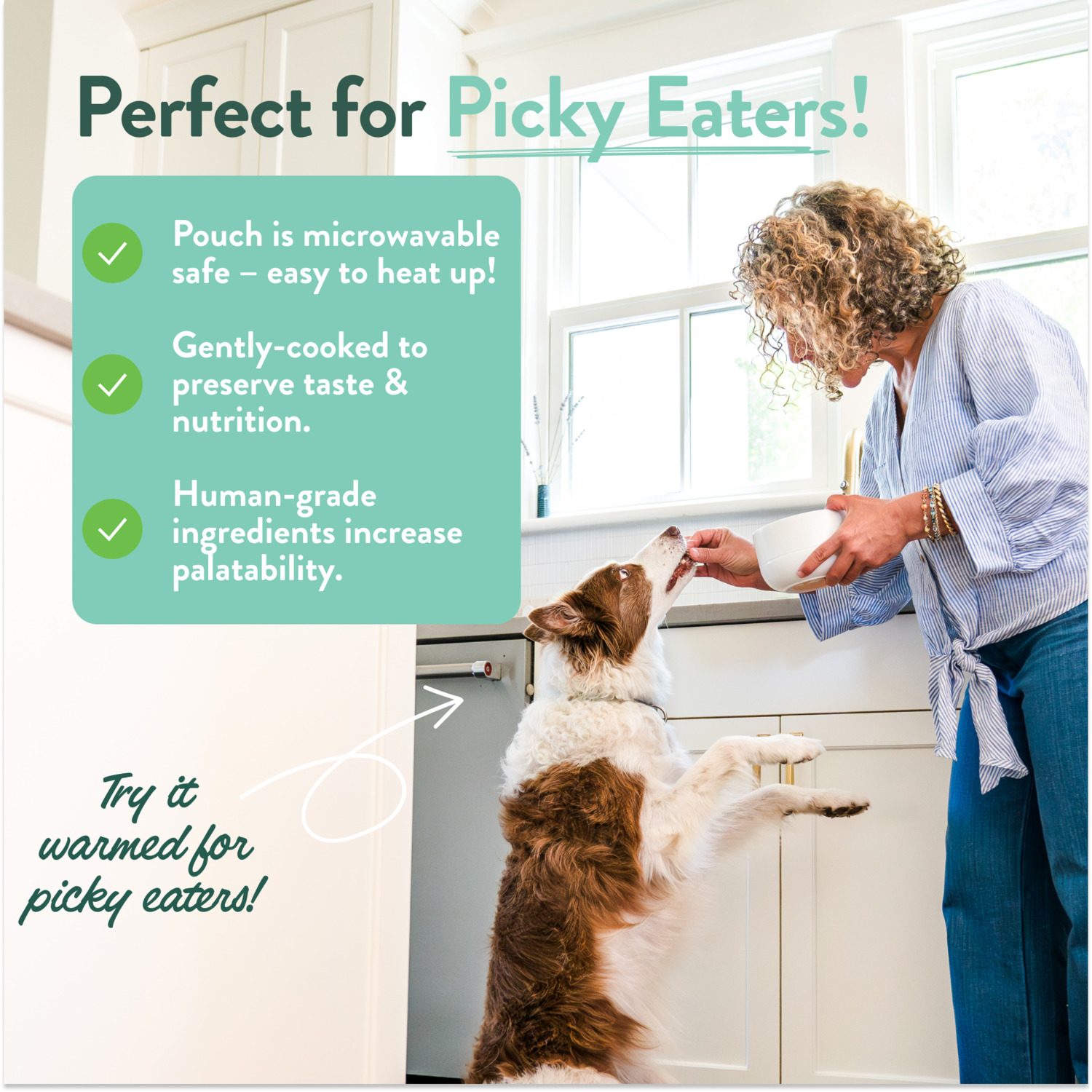 Portland Pet Food Company Rosie's Beef N' Rice Homestyle Gently Cooked Wet Dog Food
