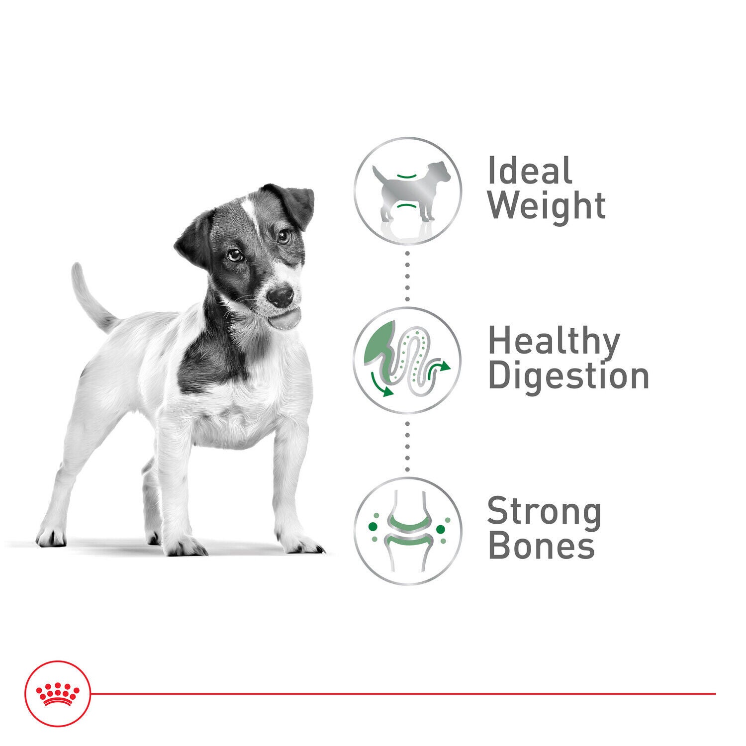 Royal Canin Size Health Nutrition Small Adult Dry Dog Food, 30 Lb