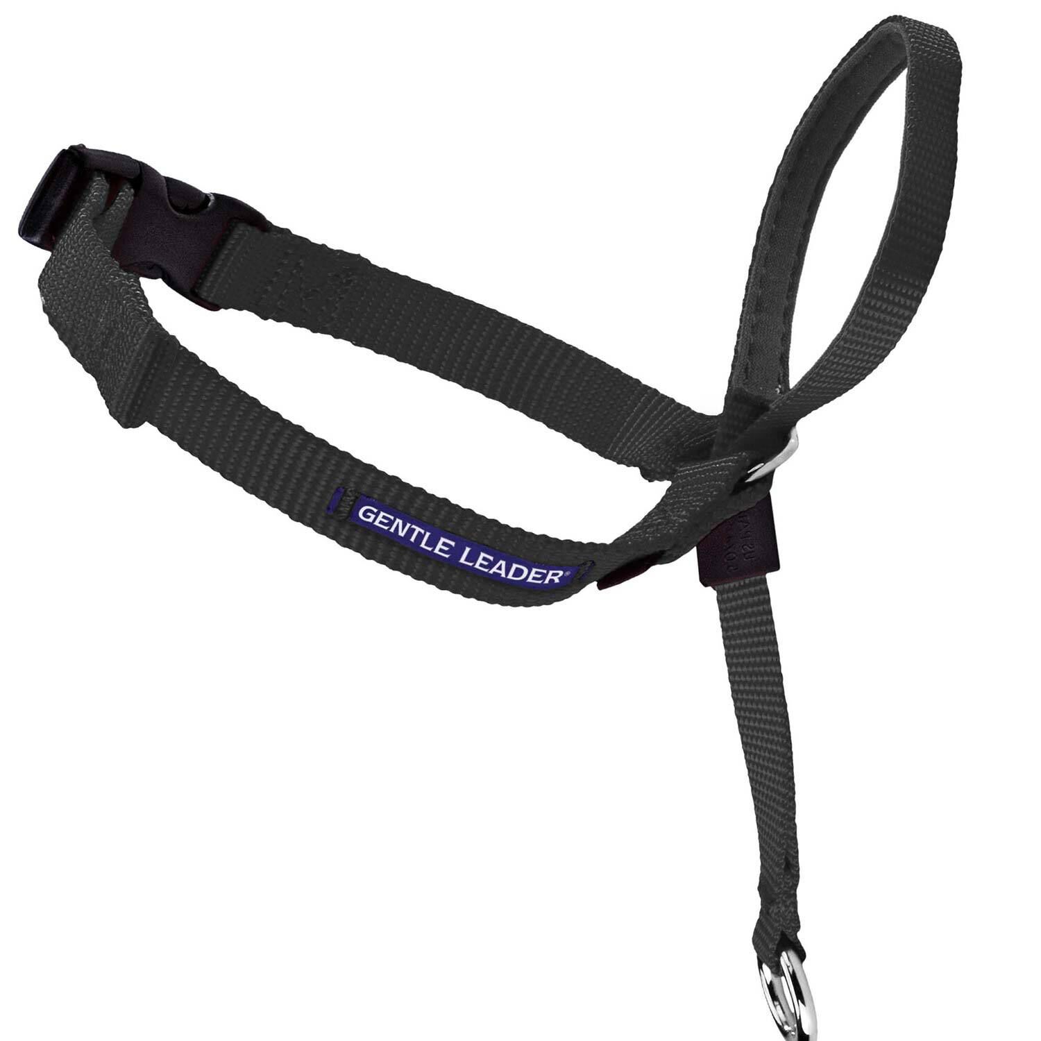 Petsafe&reg; Gentle Leader&reg; Dog Headcollar, Black