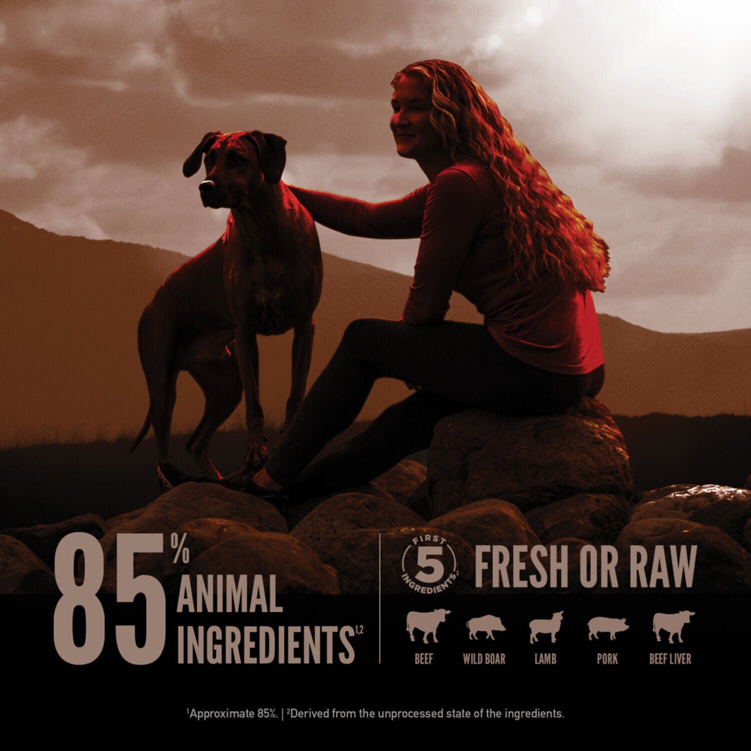 Orijen Wild Reserve Farm-Raised Beef & Lamb Recipe Dry Dog Food, 20-Lb
