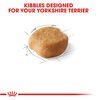 Yorkshire Terrier Adult Dog Food thumbnail number 2