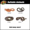 Reptihabitat 20 Gallon Snake Kit Reptile Enclosure