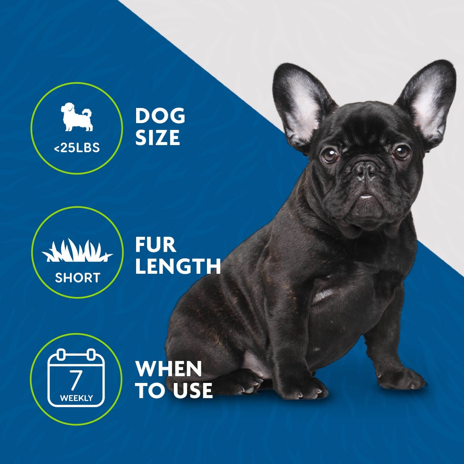 Furminator Undercoat Deshedding Small Dog Short Hair