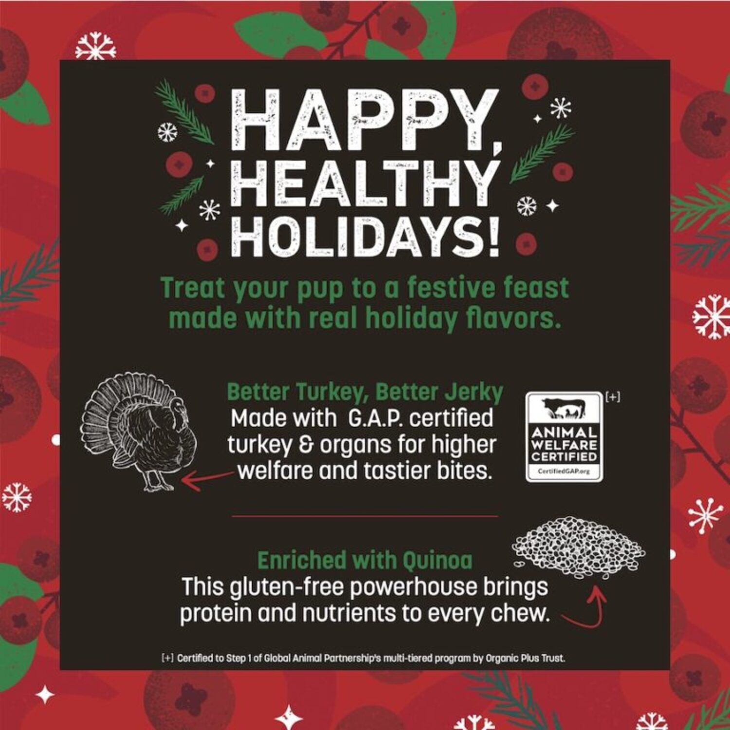 Earth Animal Wisdom Air-Dried Seasonal Holiday Feast Recipe Premium Natural Jerky Strips Dog Treats, 4-Oz