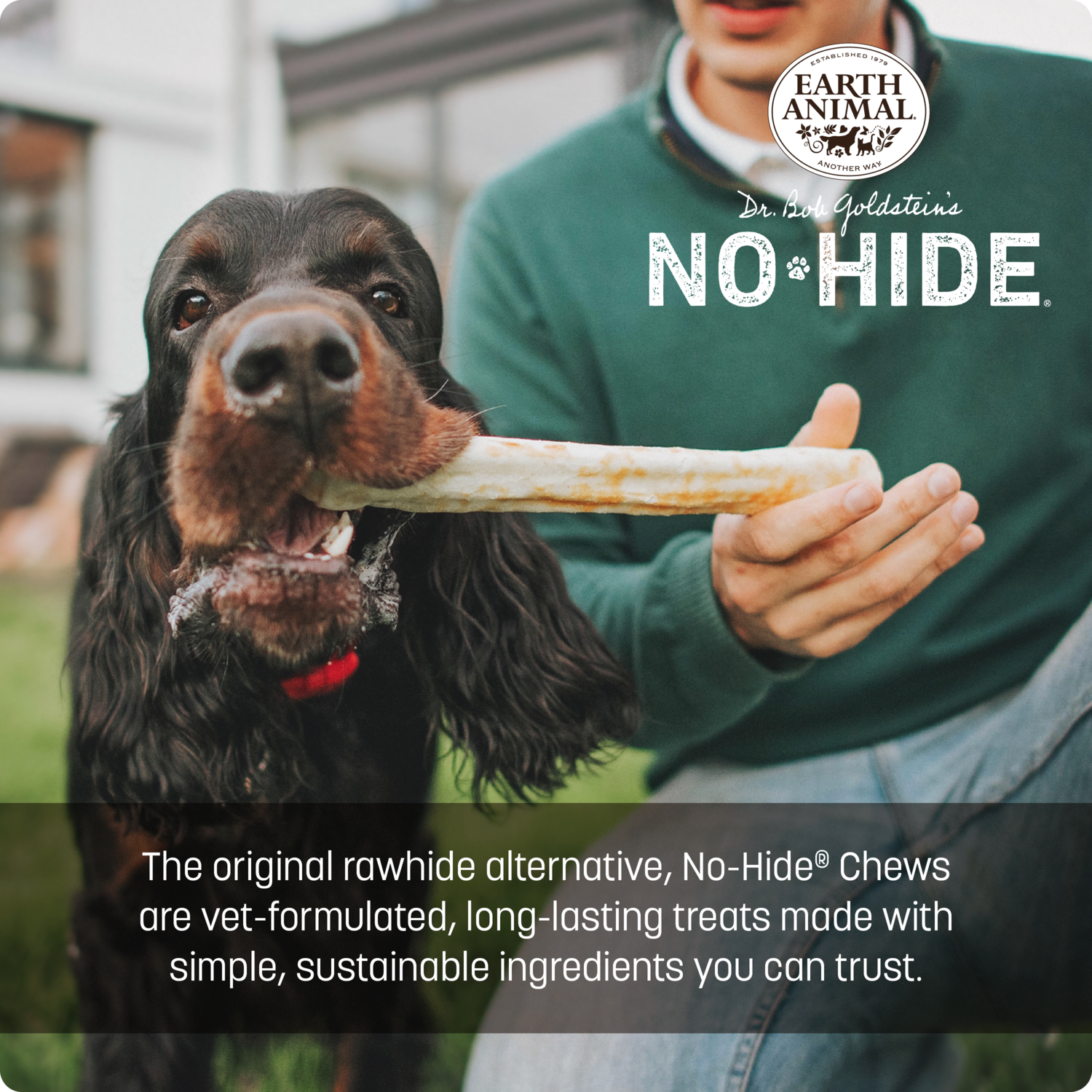 Earth Animal No-Hide Rawhide Alternative Chicken Recipe Large Dog Chew Treat, 11"
