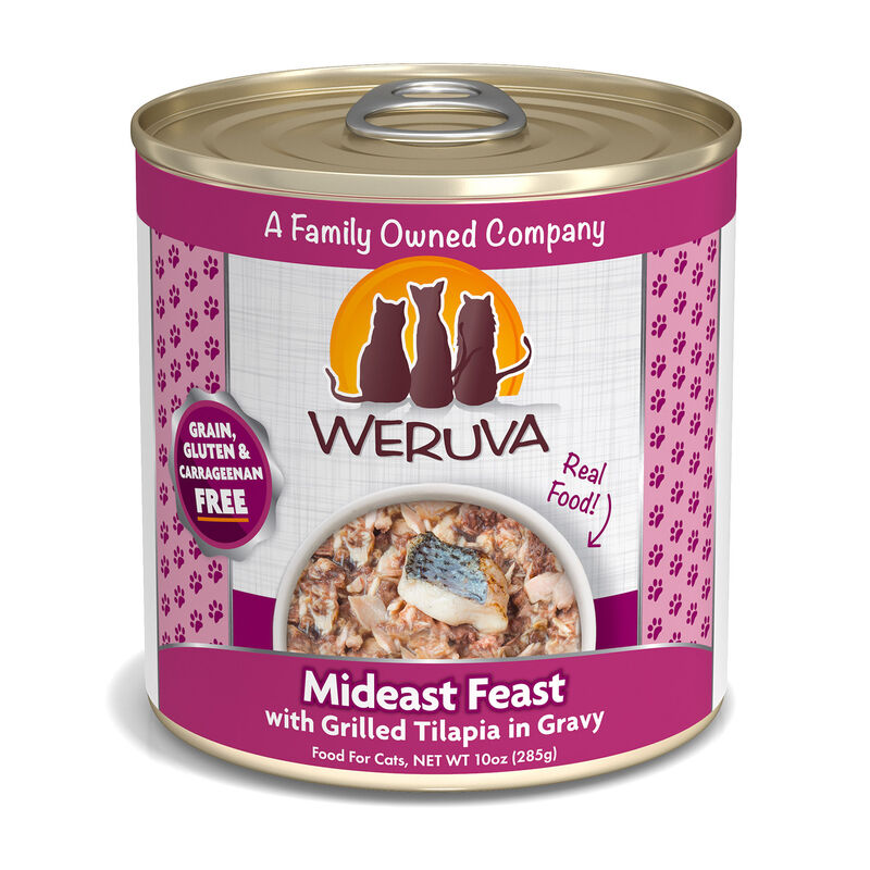 Mideast Feast With Grilled Tilapia In Gravy Cat Food image number 1