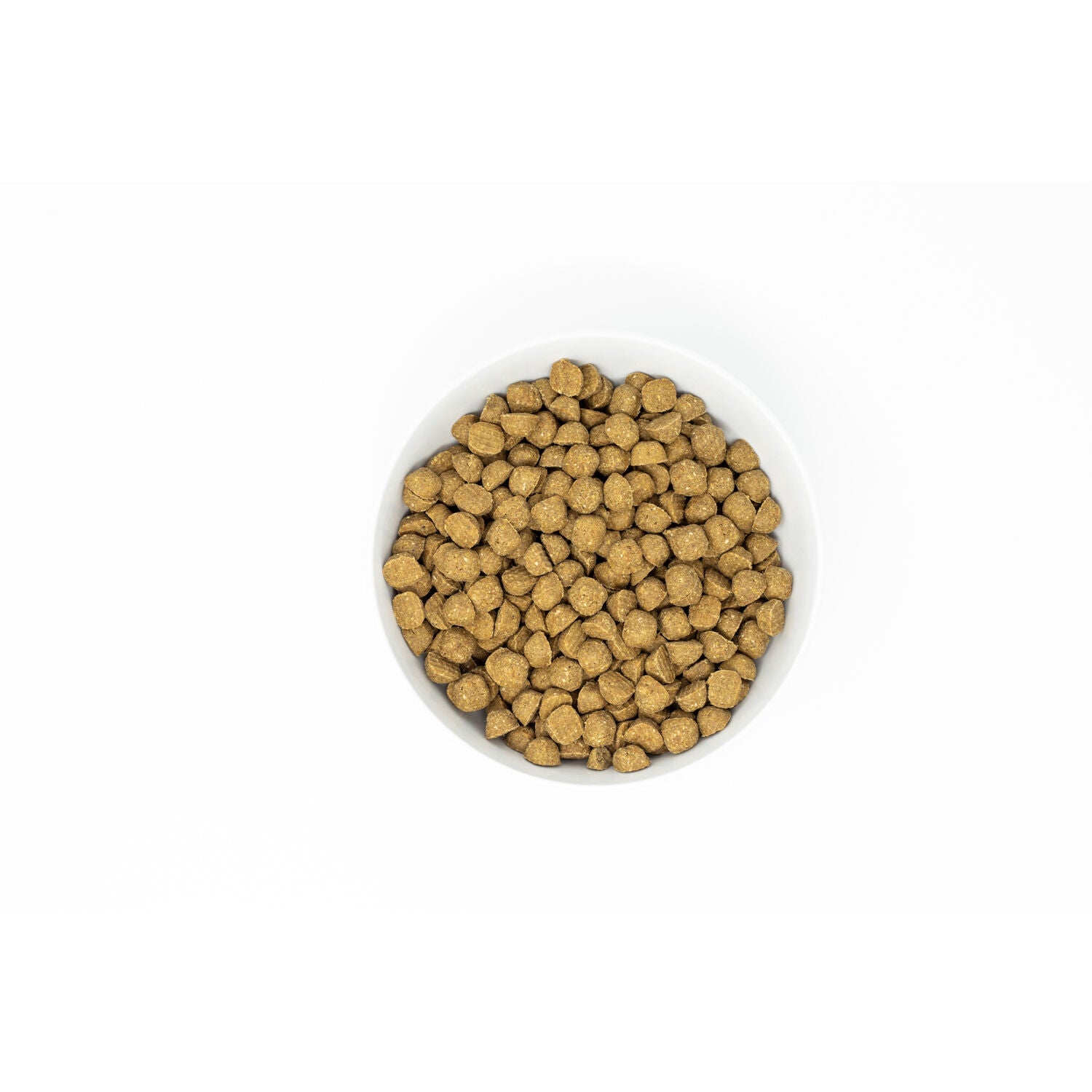 Stella & Chewy's Baked Kibble Dry Dog Food - Raw Coated Wholesome Grains Chicken Recipe, 22-Lb Bag