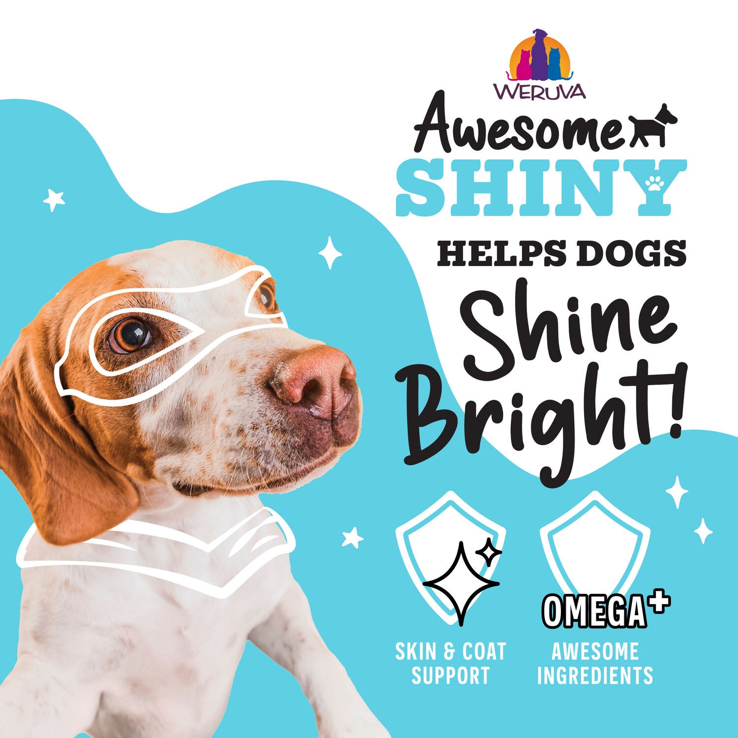 Weruva Awesome Shiny Chicken Breast And Brown Rice Recipe With Flaxseed Wet Dog Food, 6-Oz