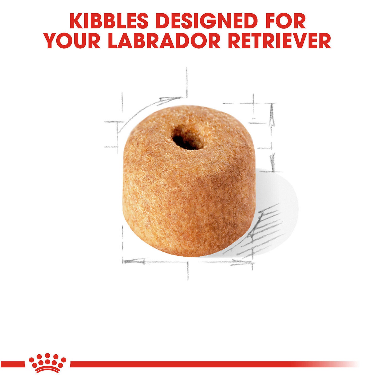 Royal Canin Labrador Retriever Adult Dry Dog Food, 30Lb | Pet