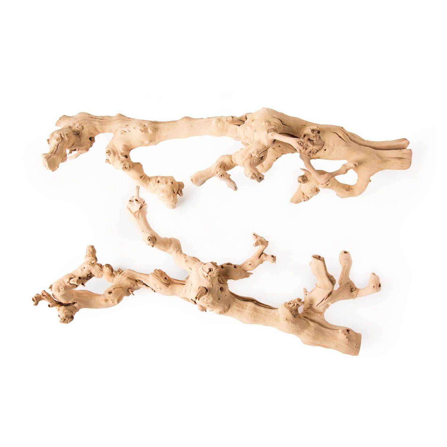 Gal&aacute;pagos Walking Wood, Grapevine Branch, Natural, 19-24In