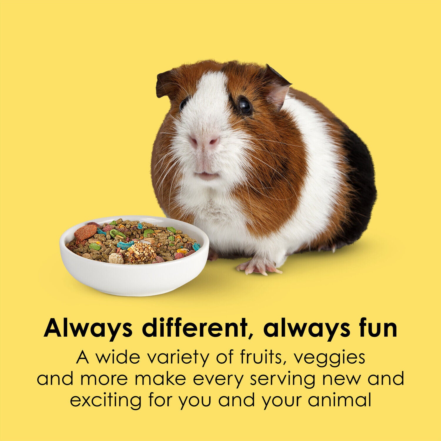 Kaytee Fiesta Guinea Pig Food, 2.5-Pounds