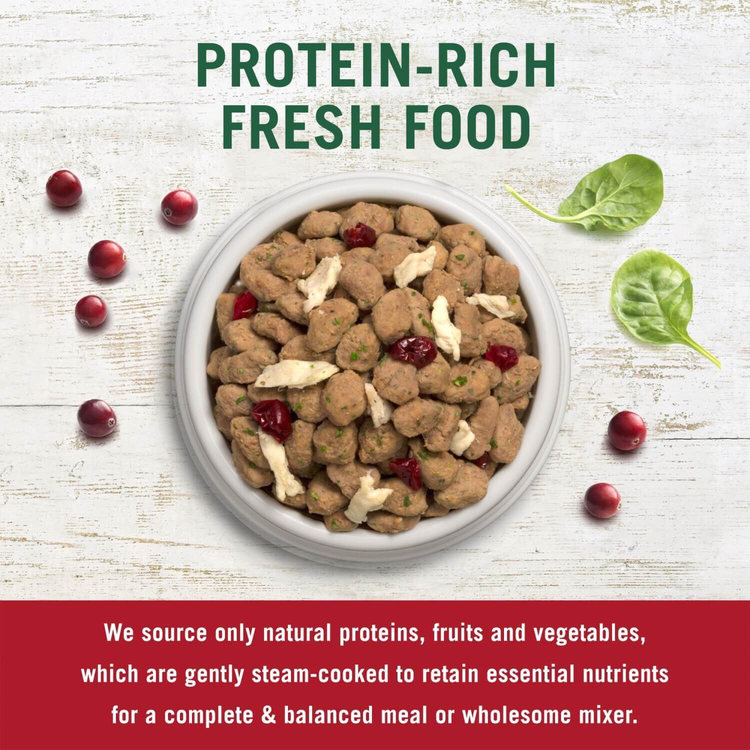 Freshpet Vital Grain Free Fresh Dog Food, Beef & Lamb Recipe