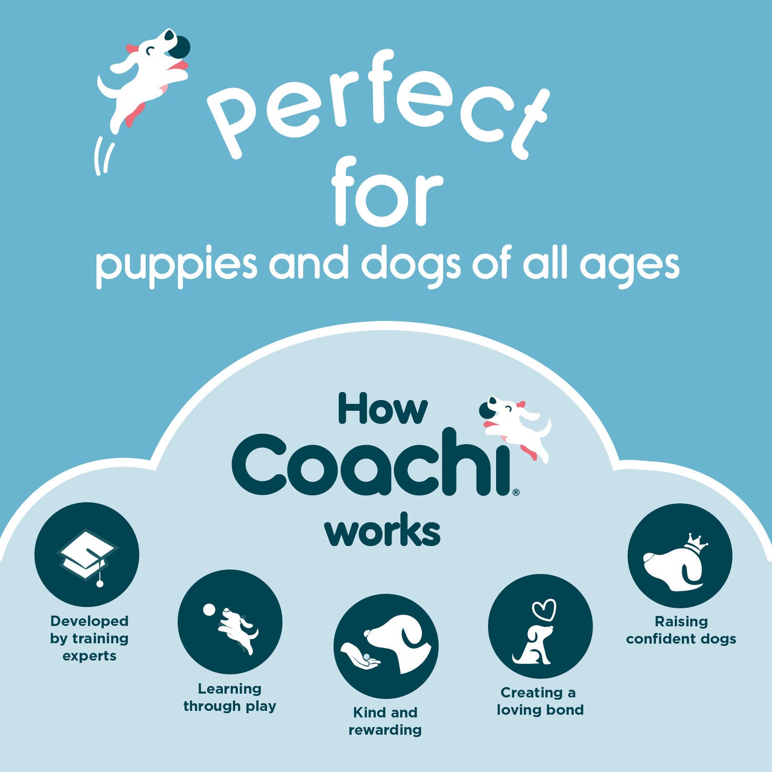 Coachi Pro Train & Treat Bag For Dog Training, Navy & Light Blue