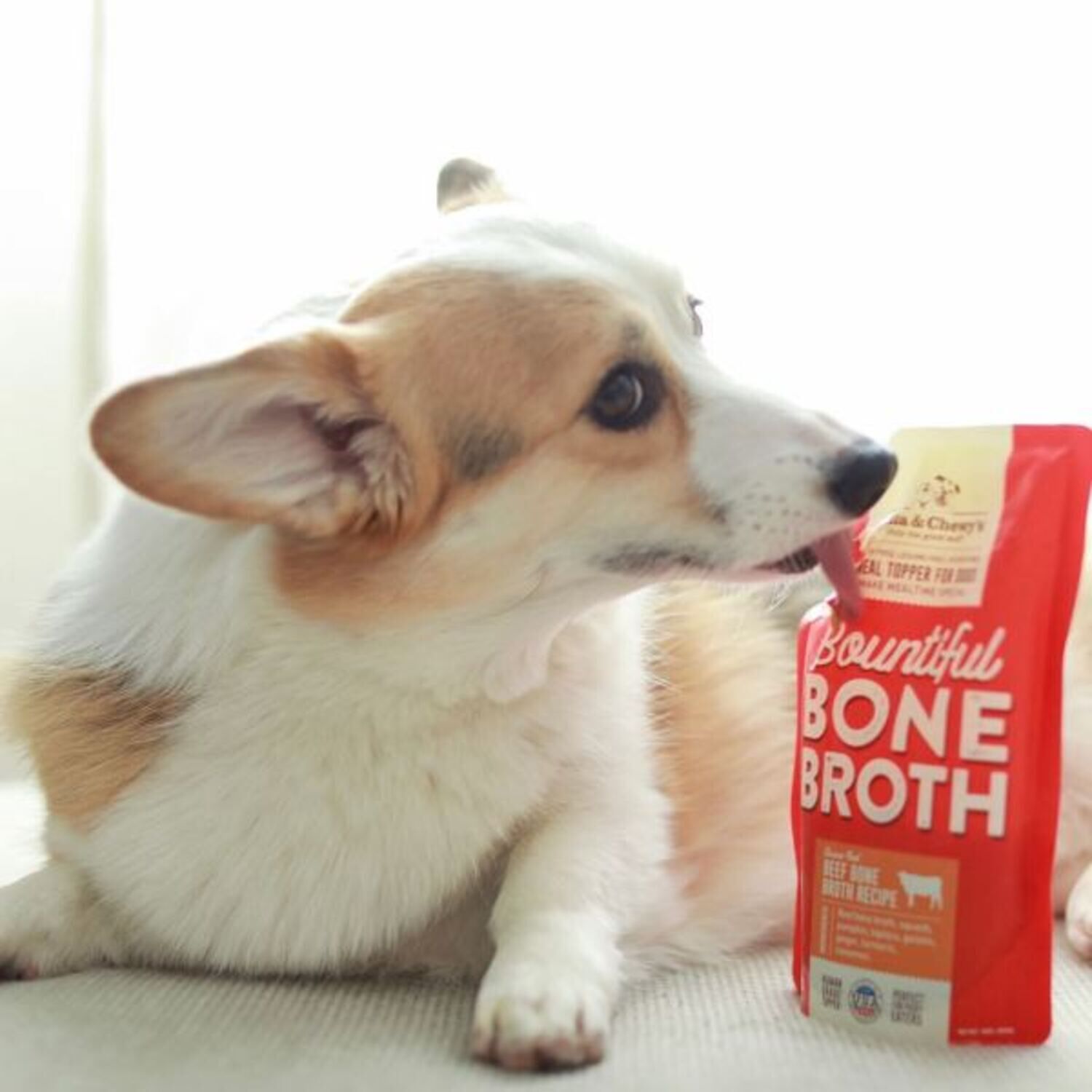 Stella & Chewy's Bountiful Bone Broth Grass Fed Beef Recipe Wet Dog Food Topper, 16-Oz