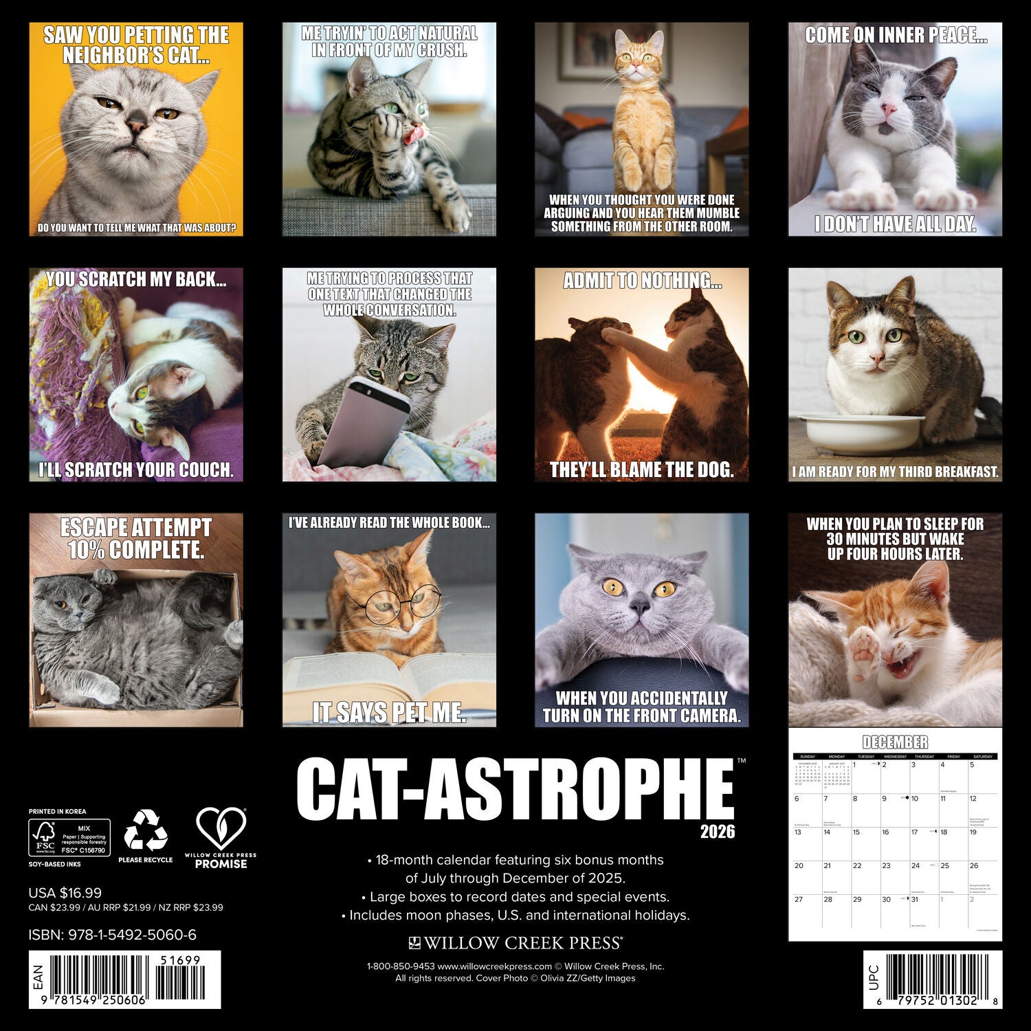 Willow Creek Press 2026 Cat-Astrophe Wall Calendar