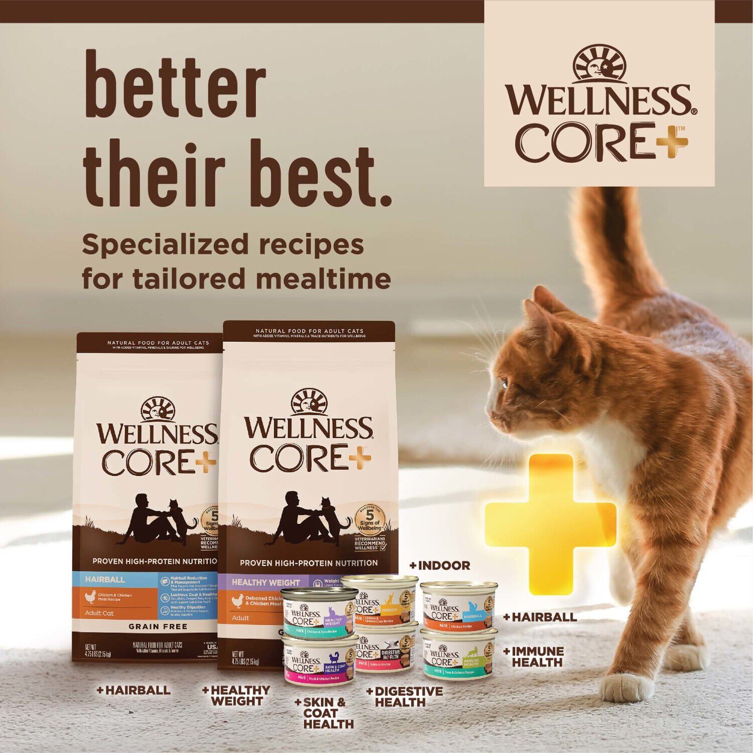 Wellness Core+ Adult Dry Cat Food For Indoor Cats, Grain Free, Natural, Chicken, Turkey & Chicken Meal - 5-Lb