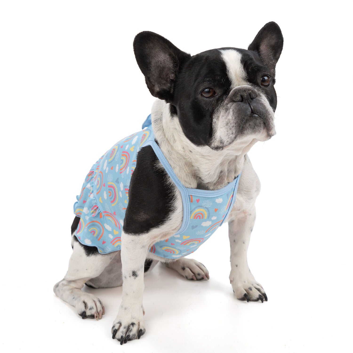 Simply Dog Blue Rainbow Ruffle Dog Dress, Large