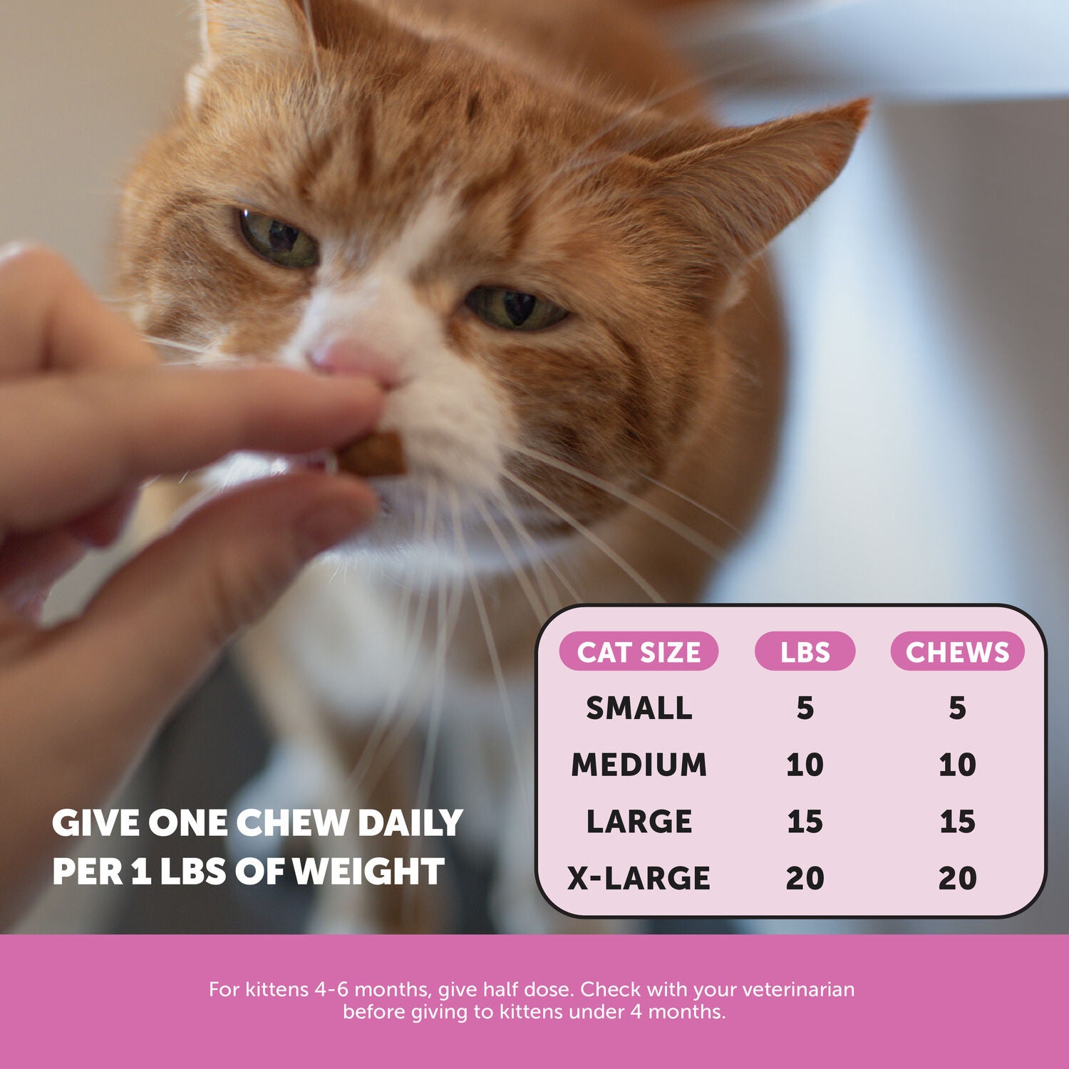 Pet Honesty Dual Texture Chicken Flavored Multivitamin Supplement Crunchy Cat Chews With Lysine & Probiotic, 3.7-Oz Pouch