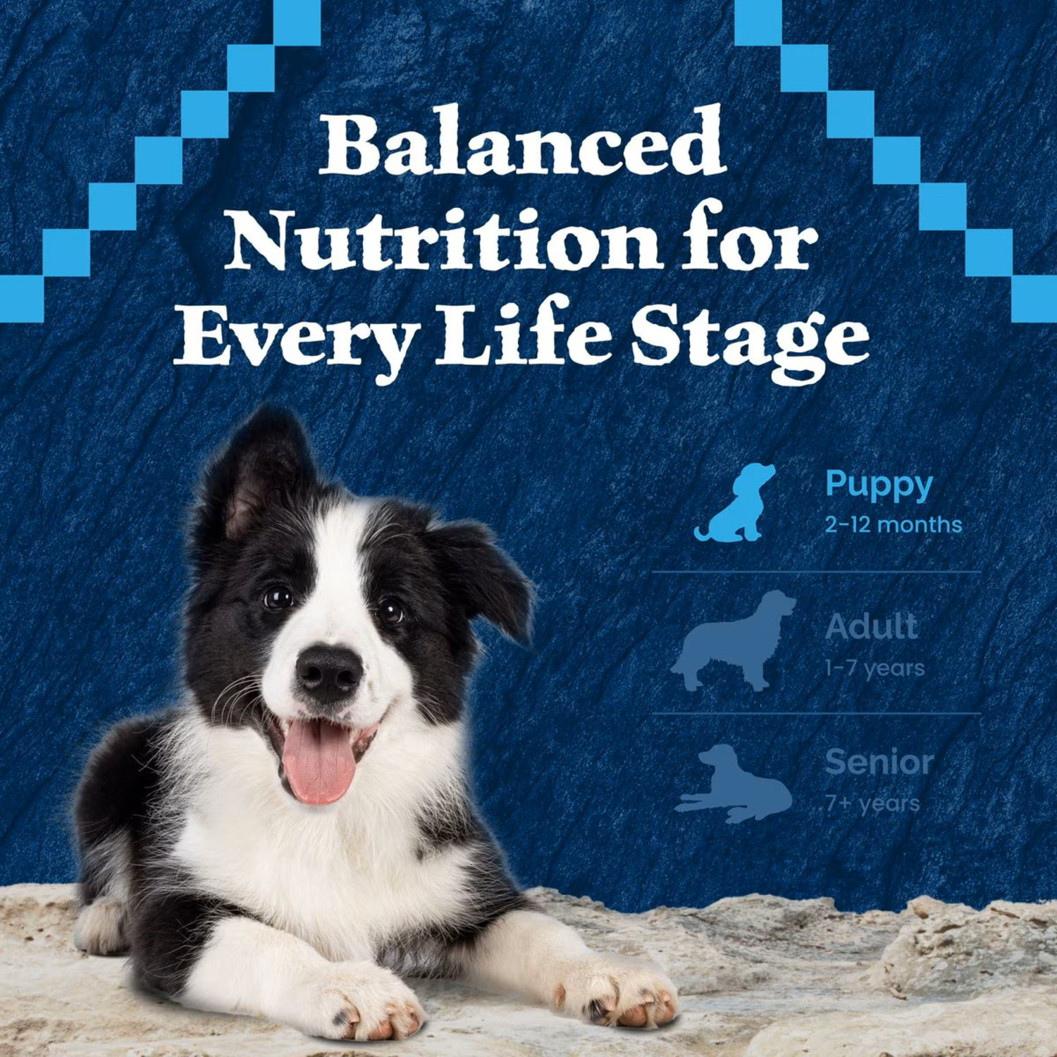 Blue Buffalo Wilderness Rocky Mountain Recipe High Protein Natural Puppy Dry Dog Food, 4.5Lb