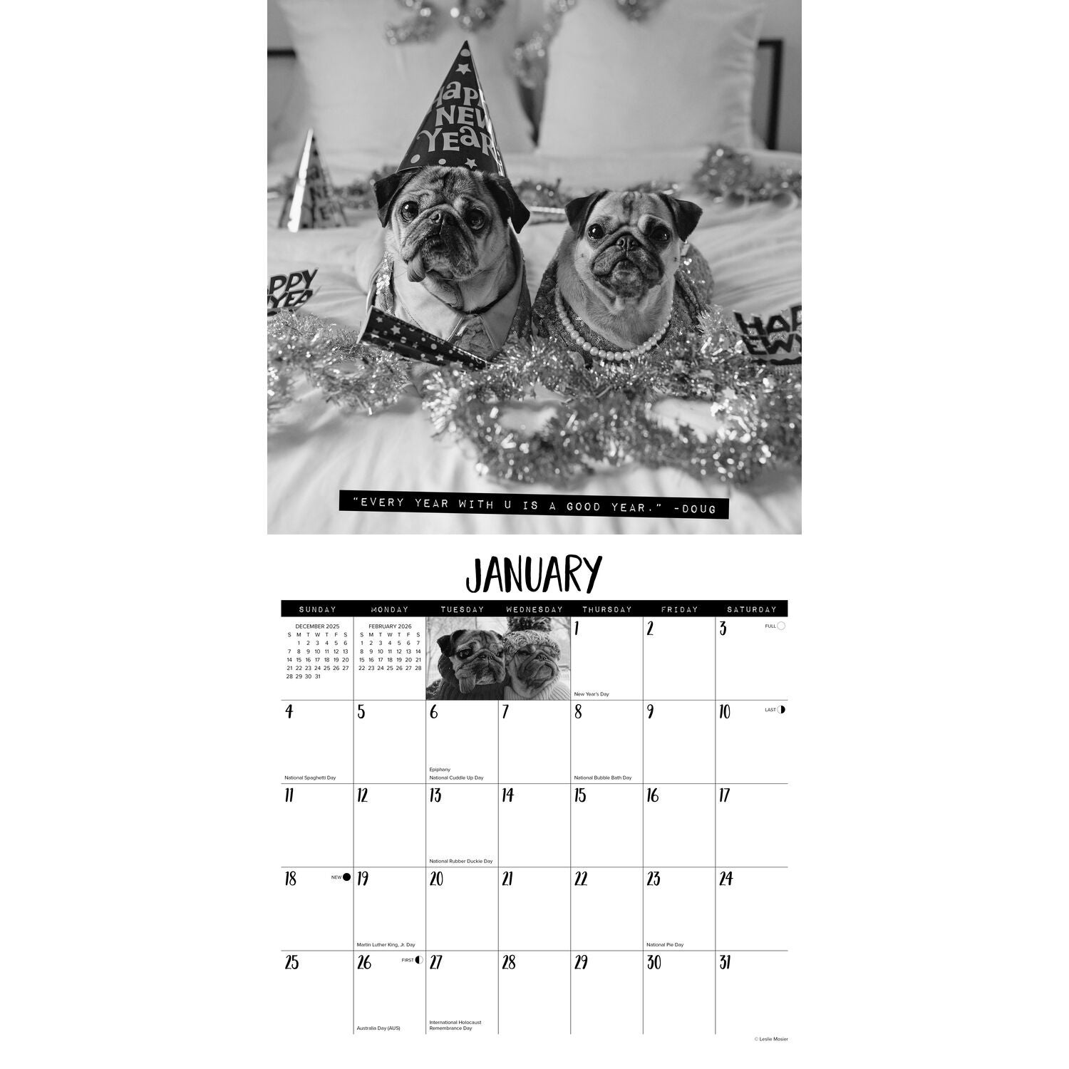 Willow Creek Press 2026 Doug The Pug Wall Calendar
