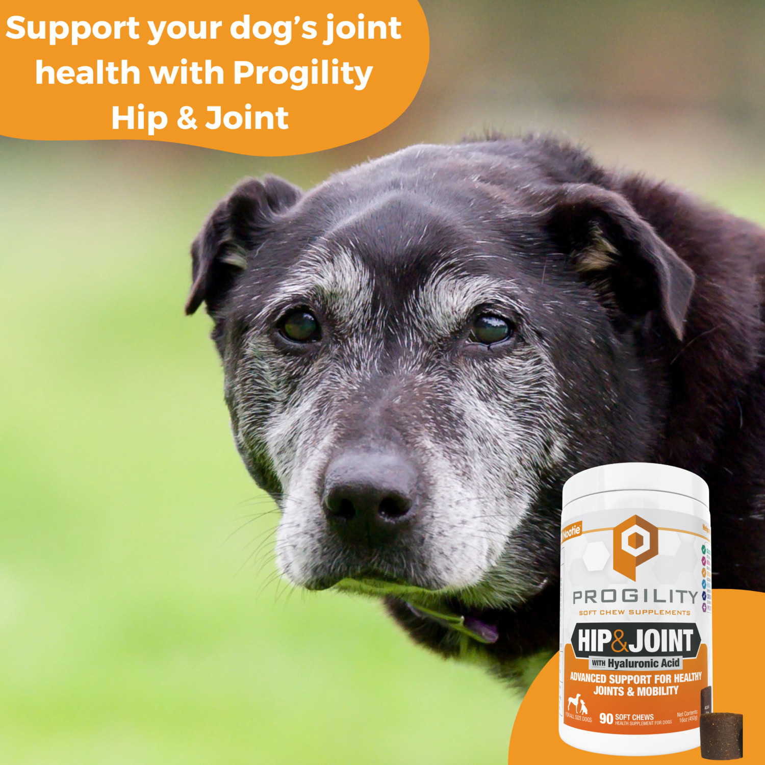 Progility Hip & Joint Soft Chew Supplement For Dogs, 90Ct