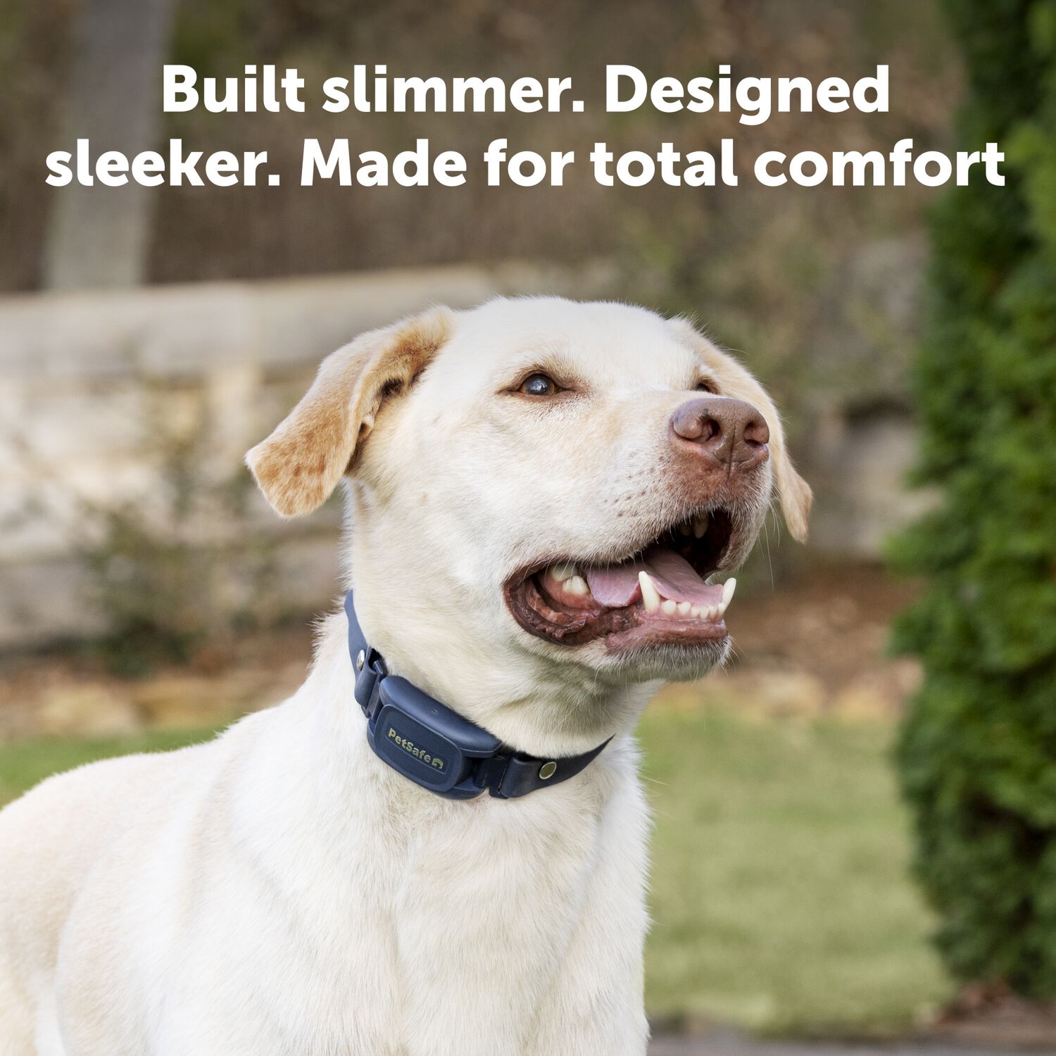 Petsafe Pro Dog Trainer With Remote, Waterproof Dog Training Collar 1000 Ft Range, Sleek Remote Training Collar