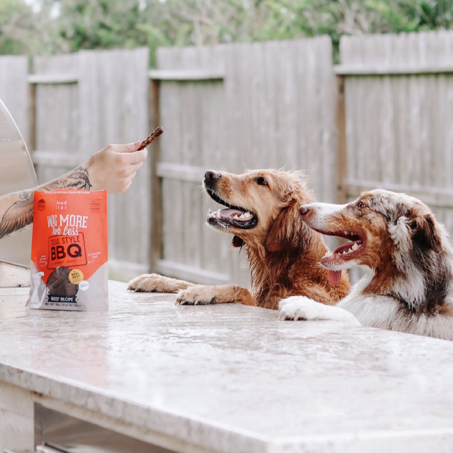 Wag More Bark Less Grain-Free Jerky Dog Treats, Texas Bbq Beef, 10-Oz Bag