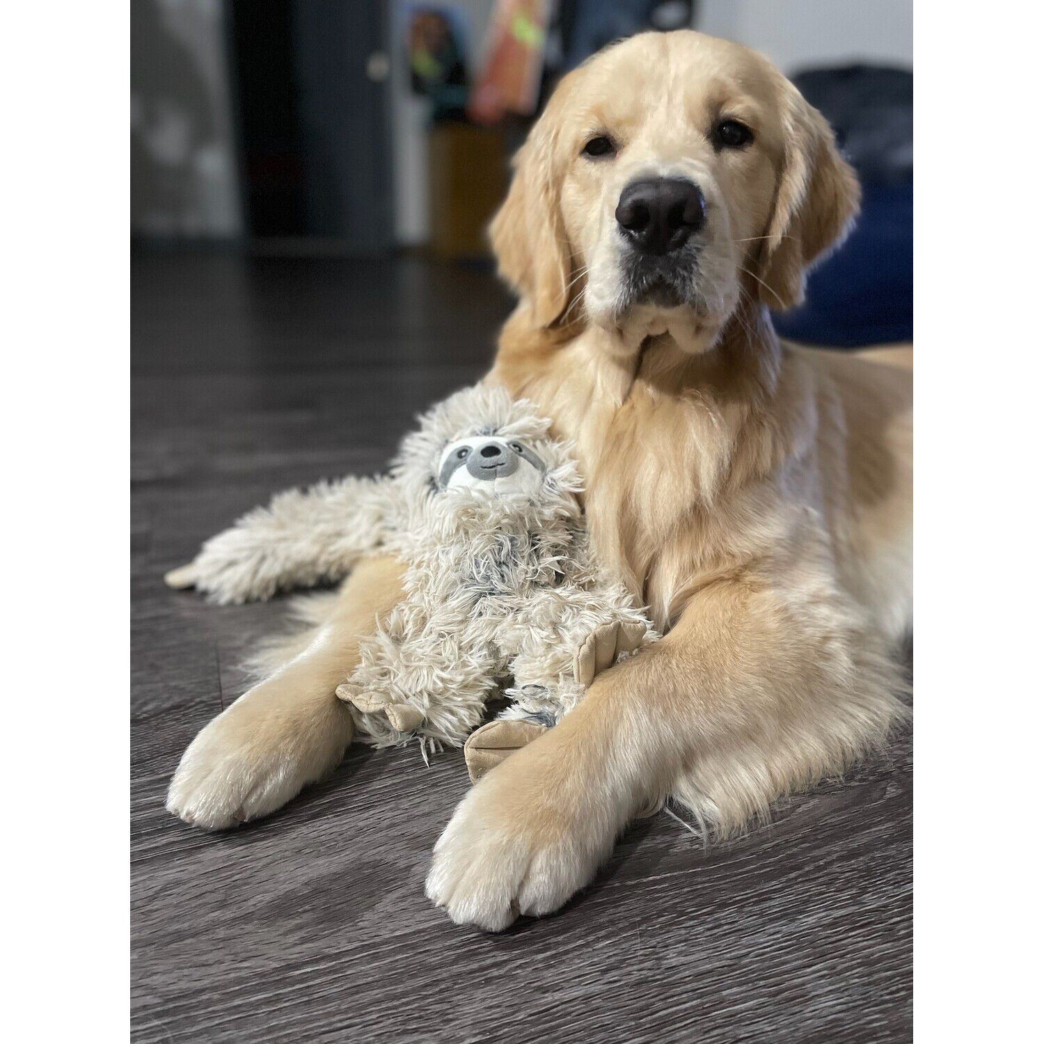 Tall Tails Sloth Rope Body Plush Squeaky Dog Toy, 16"