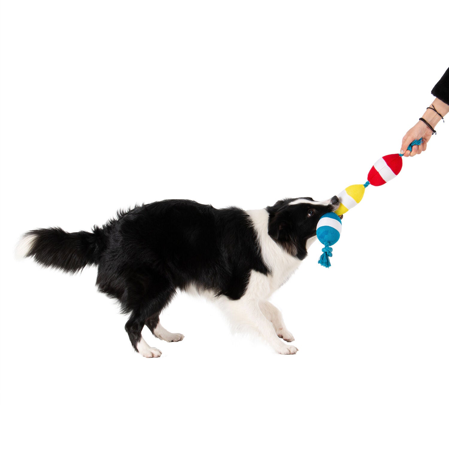 Territory Buoys Floating Water Play Tug Dog Toy, 20"