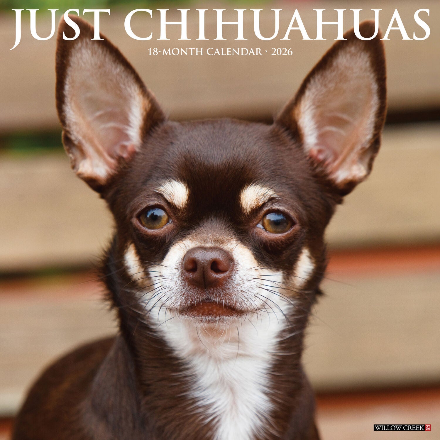 Willow Creek Press 2026 Chihuahuas Wall Calendar
