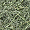 Orchard Grass Hay For Small Animals