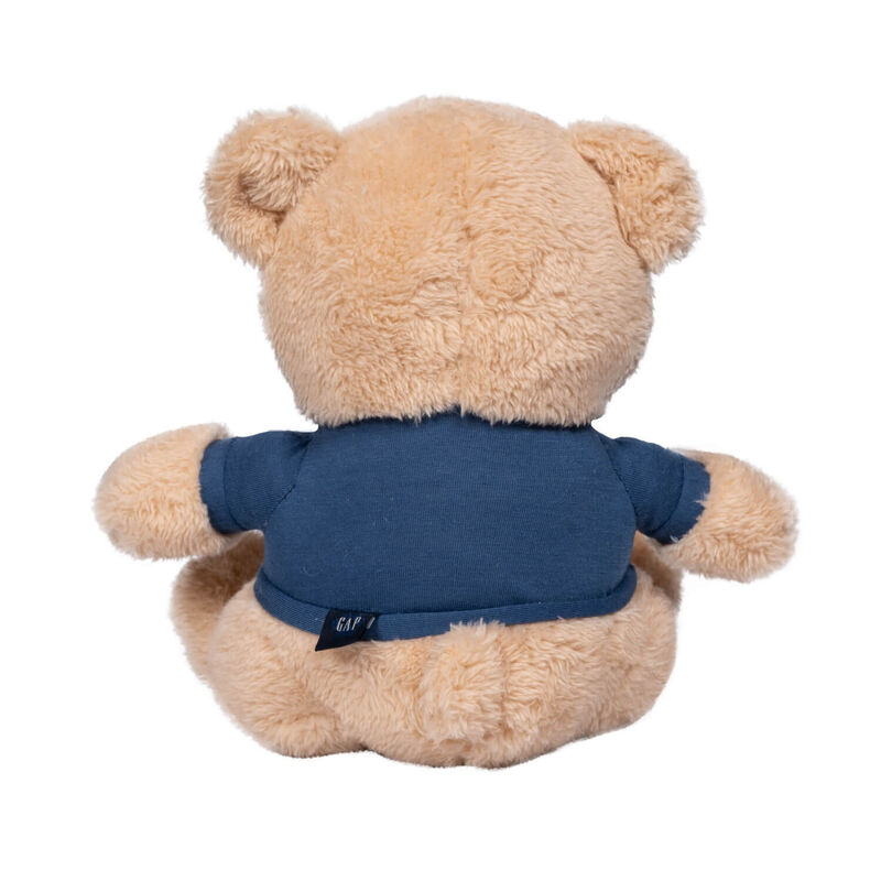 Gap Plush Teddy Bear With Squeaker Dog Toy