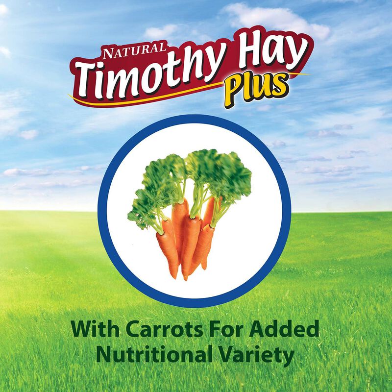 Timothy Hay Plus Carrots